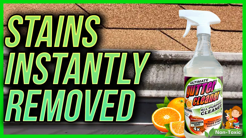 ULTIMATE Gutter Cleaner - Instant Gutter Stain Remover!